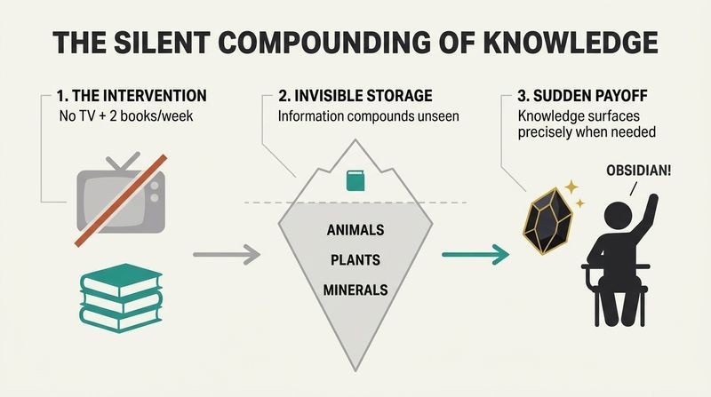 Three-stage timeline showing how a simple habit of reading two books a week compounds into a deep, invisible reservoir of knowledge that eventually erupts into a visible academic breakthrough.
