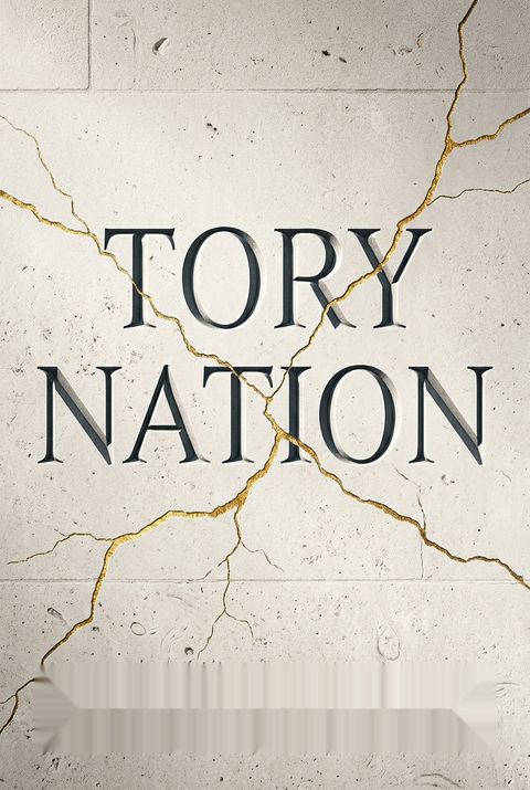 Tory Nation by Samuel Earle