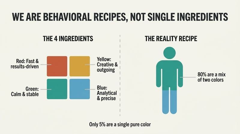 Split diagram showing the four behavioral colors (Red, Yellow, Green, Blue) on the left and a blended human silhouette on the right, illustrating that 80% of people are a mix of behaviors.