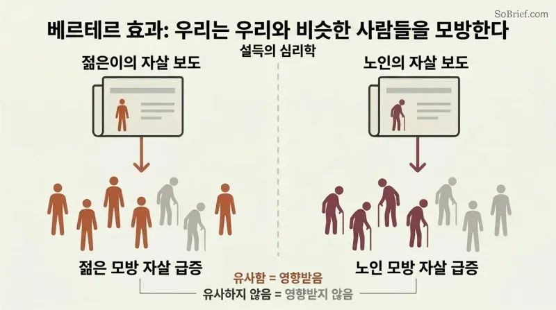 Split panel showing two parallel flows where a young person's publicized death triggers young copycat fatalities while an older person's triggers older ones, revealing similarity-based social proof.
