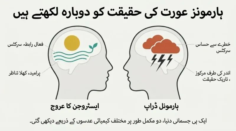 Split diagram showing two female head profiles side-by-side, illustrating how internal hormonal shifts change the brain's internal weather from clear skies to storm clouds.