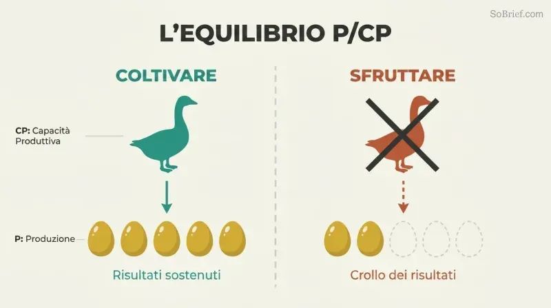 Split comparison showing a healthy goose producing steady golden eggs versus an exploited goose with production collapsing after only two eggs.