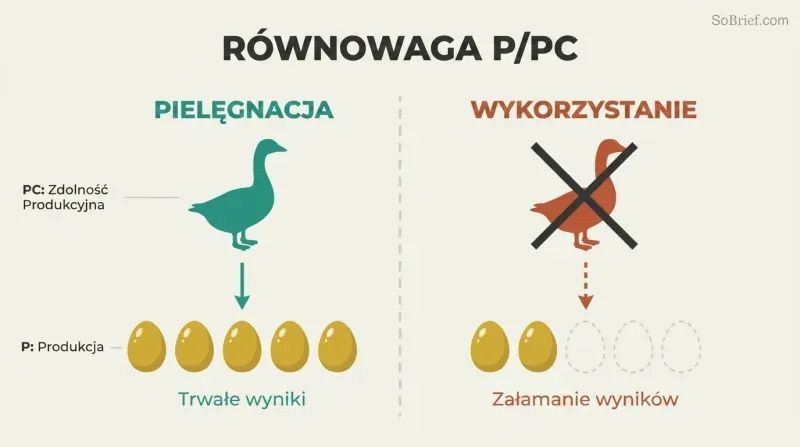 Split comparison showing a healthy goose producing steady golden eggs versus an exploited goose with production collapsing after only two eggs.