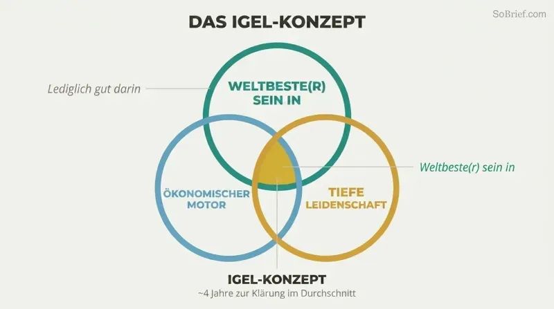 Three-circle Venn diagram showing the intersection of world-class ability, economic engine, and deep passion as the strategic sweet spot.