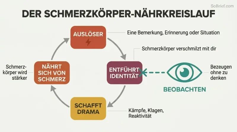 Circular cycle showing emotional pain triggering identity hijack and creating more suffering that feeds back, with conscious observation breaking the loop.