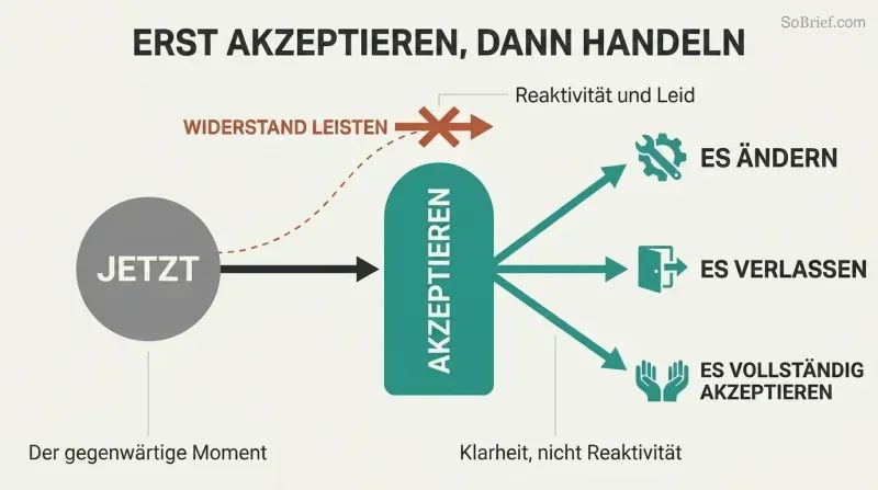 Flow diagram showing a present situation passing through a surrender gateway that opens into three branching options: change it, leave it, or accept it fully, with a blocked resistance path shown above.