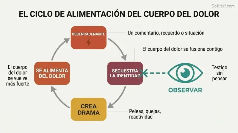 Circular cycle showing emotional pain triggering identity hijack and creating more suffering that feeds back, with conscious observation breaking the loop.
