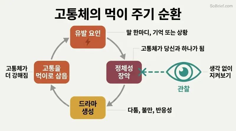 Circular cycle showing emotional pain triggering identity hijack and creating more suffering that feeds back, with conscious observation breaking the loop.