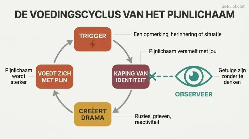 Circular cycle showing emotional pain triggering identity hijack and creating more suffering that feeds back, with conscious observation breaking the loop.