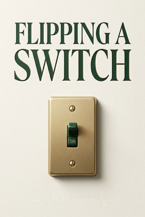 Flipping a Switch by Barbara  O'Neill