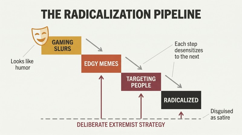 Descending staircase of four steps showing escalation from gaming slurs through edgy memes to targeting real people to radicalization, with a comedy mask at entry disguising the deliberate extremist strategy beneath.