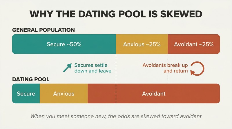 Two stacked proportion bars comparing attachment type distribution in the general population versus the dating pool, showing avoidants vastly overrepresented due to secure people leaving quickly.