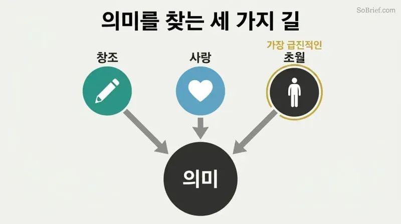 Three circles labeled Create, Love, and Transcend send converging arrows downward into a single larger circle labeled Meaning, with Transcend distinguished by a gold ring.