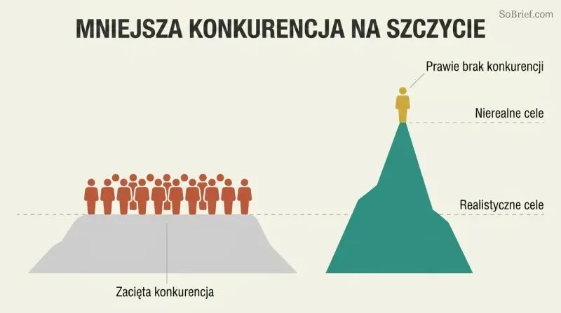 Low crowded plateau labeled as realistic goals contrasted with a tall empty peak where a single figure stands, showing less competition for ambitious targets.
