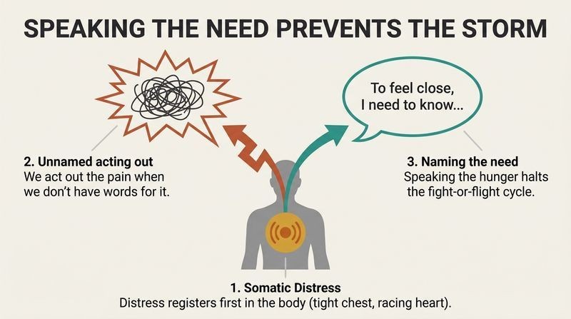 Diverging fork diagram showing how raw somatic attachment distress in the chest splits either into acting out through conflict or speaking a clear relationship need.