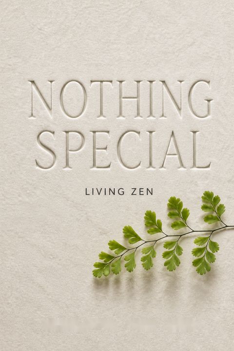 Nothing special by Charlotte Joko Beck