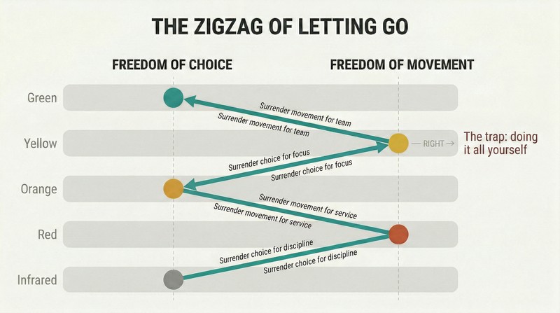 Zigzag path ascending through five wealth levels, bouncing between freedom of choice and freedom of movement columns, showing each level demands surrendering the previous level's gain.