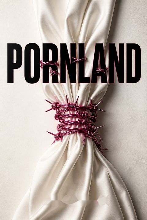 Pornland by Gail Dines
