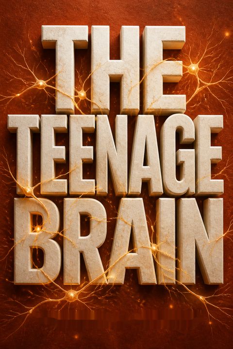 The Teenage Brain