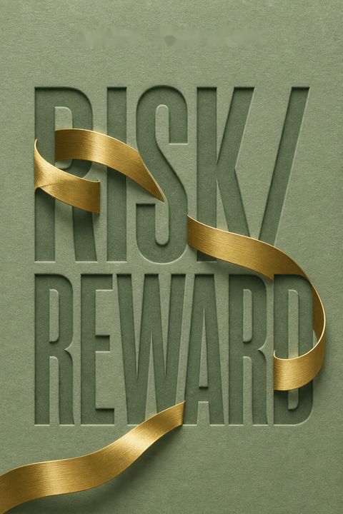 RISK/REWARD by Anne Kreamer
