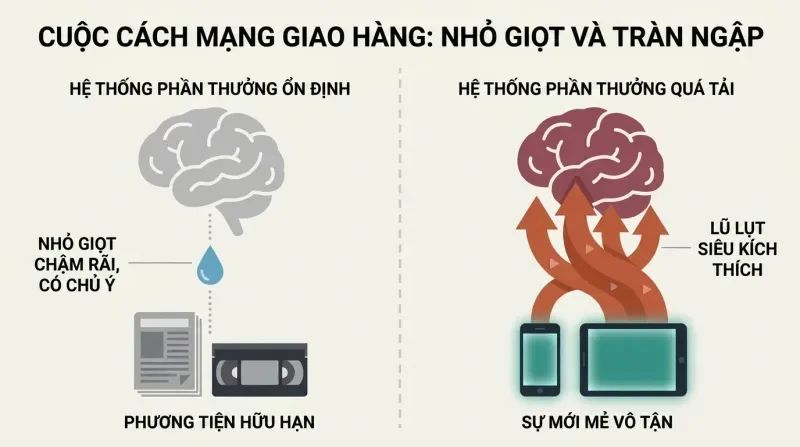 Split-panel diagram contrasting high-friction physical media delivering a slow dopamine drip to a stable brain, versus zero-friction streaming screens releasing a massive super-stimulus flood into an overloaded brain.