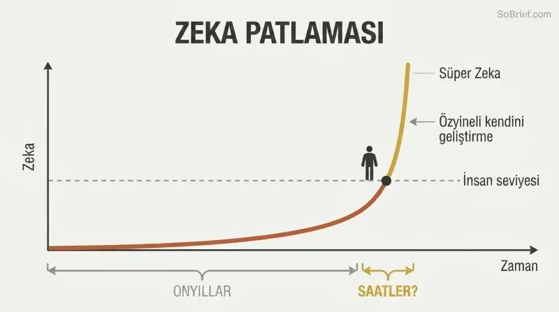 Hockey-stick curve showing decades of slow progress to human-level AI followed by a near-vertical leap to superintelligence in a fraction of the time.