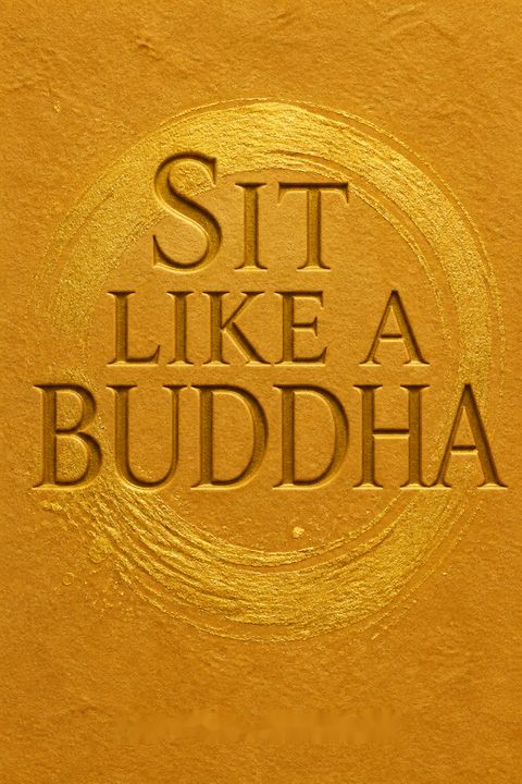 Sit Like a Buddha by Lodro Rinzler