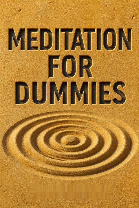 Meditation for Dummies by Stephan Bodian