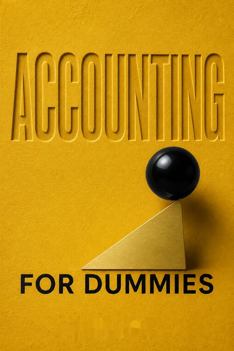Accounting For Dummies by John A. Tracy