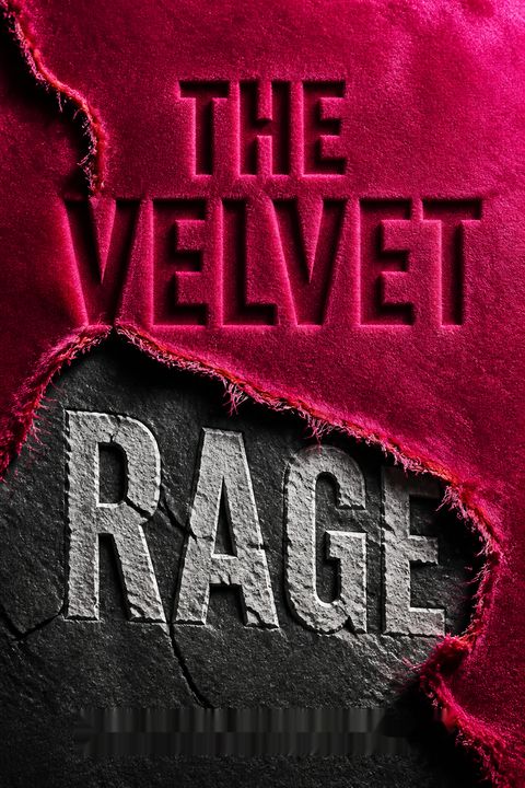 The Velvet Rage by Alan Downs