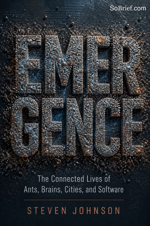 Emergence