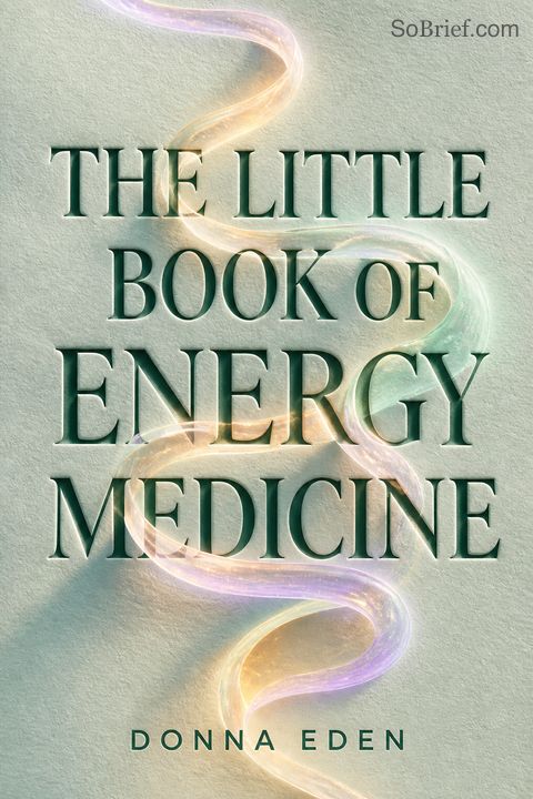 The Little Book of Energy Medicine