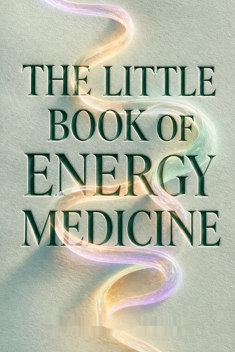 The Little Book of Energy Medicine by Donna Eden