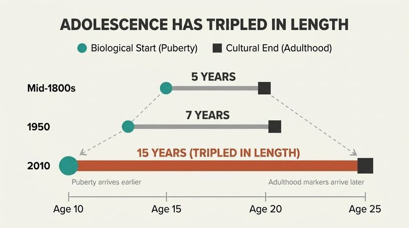 Stacked timeline comparison showing how the span of adolescence grew from 5 years in the mid-1800s to 15 years in 2010.