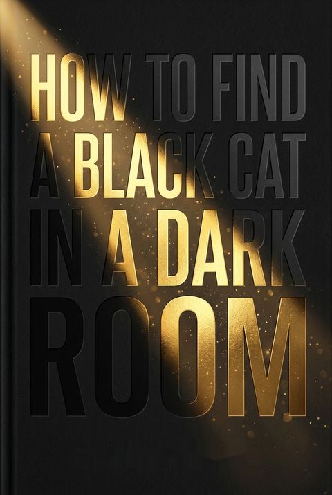 How To Find a Black Cat in a Dark Room by Jacob Burak
