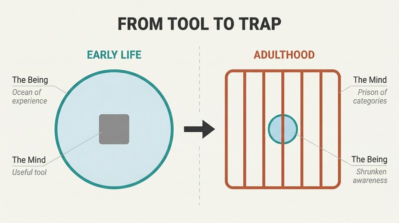 Split panel showing awareness as a large circle containing a small mind shape on the left, inverting on the right where mind becomes a large cage enclosing a shrunken awareness.