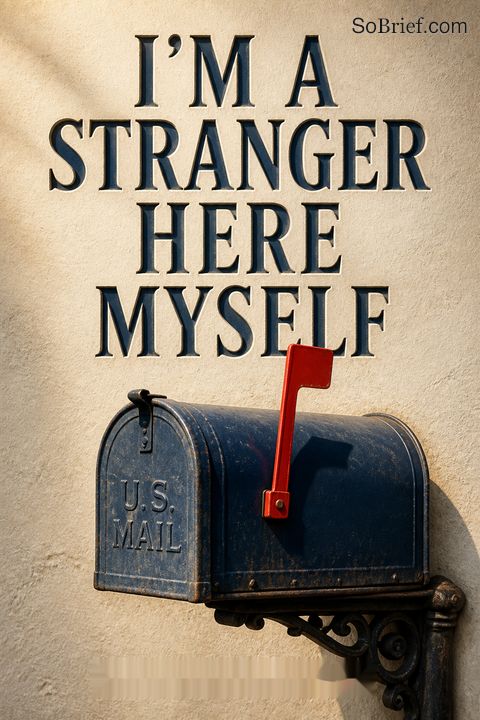 I'm a Stranger Here Myself