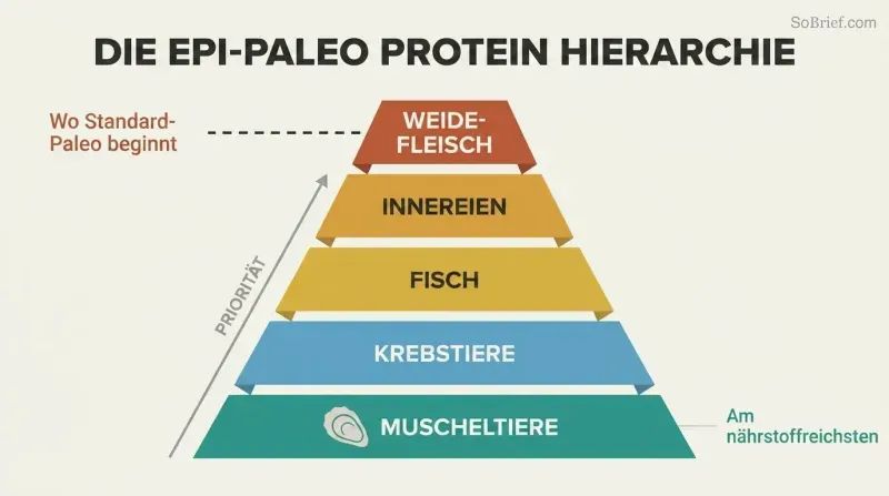 Five-tier food pyramid with shellfish as the wide foundation and grass-fed meat as the narrow top, a marker showing standard paleo starts only at the top tier.