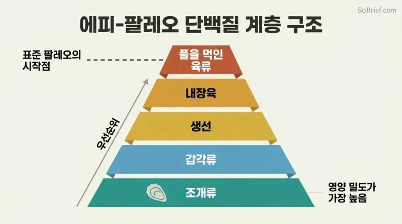 Five-tier food pyramid with shellfish as the wide foundation and grass-fed meat as the narrow top, a marker showing standard paleo starts only at the top tier.