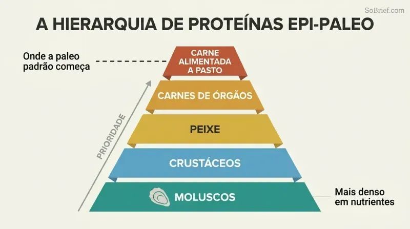Five-tier food pyramid with shellfish as the wide foundation and grass-fed meat as the narrow top, a marker showing standard paleo starts only at the top tier.
