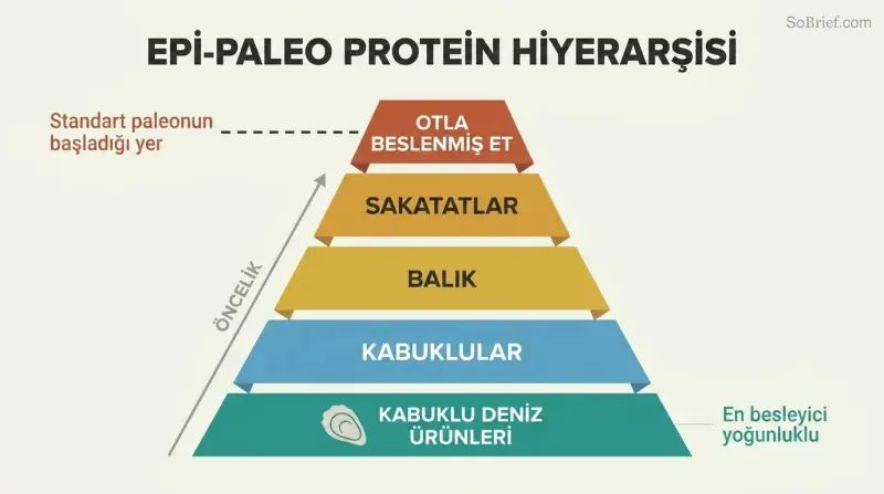 Five-tier food pyramid with shellfish as the wide foundation and grass-fed meat as the narrow top, a marker showing standard paleo starts only at the top tier.