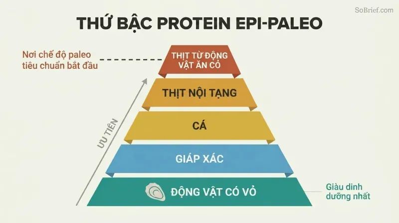 Five-tier food pyramid with shellfish as the wide foundation and grass-fed meat as the narrow top, a marker showing standard paleo starts only at the top tier.