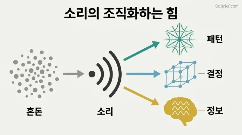 Scattered particles transform through sound vibration into three forms of order: geometric patterns, crystal lattices, and holographic information storage.