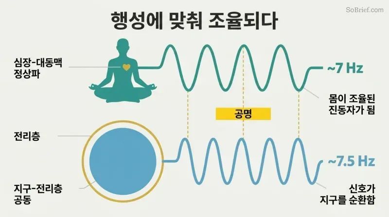 Meditating human silhouette and Earth cross-section connected by matching sine waves both oscillating near 7 Hz, showing body-planet resonance coupling.