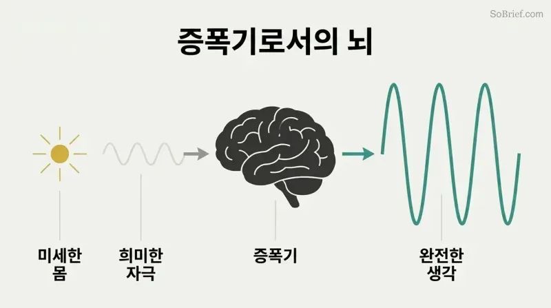 Faint wave enters a brain silhouette and exits dramatically larger, showing the brain as thought amplifier, not creator.