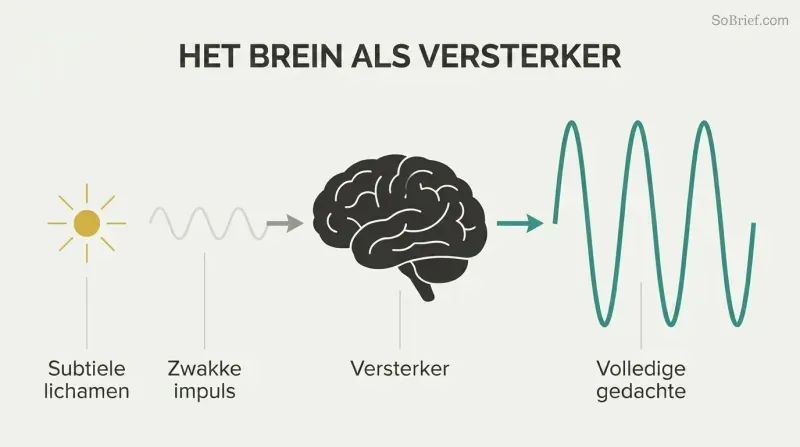 Faint wave enters a brain silhouette and exits dramatically larger, showing the brain as thought amplifier, not creator.