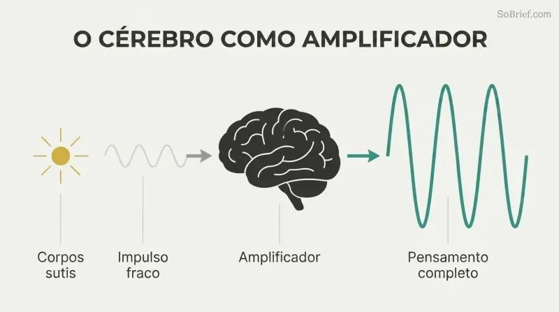Faint wave enters a brain silhouette and exits dramatically larger, showing the brain as thought amplifier, not creator.