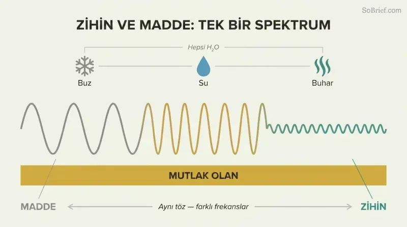 Continuous wave shifting from tall gray peaks to fine teal ripples above a gold band, showing matter and mind as one spectrum.
