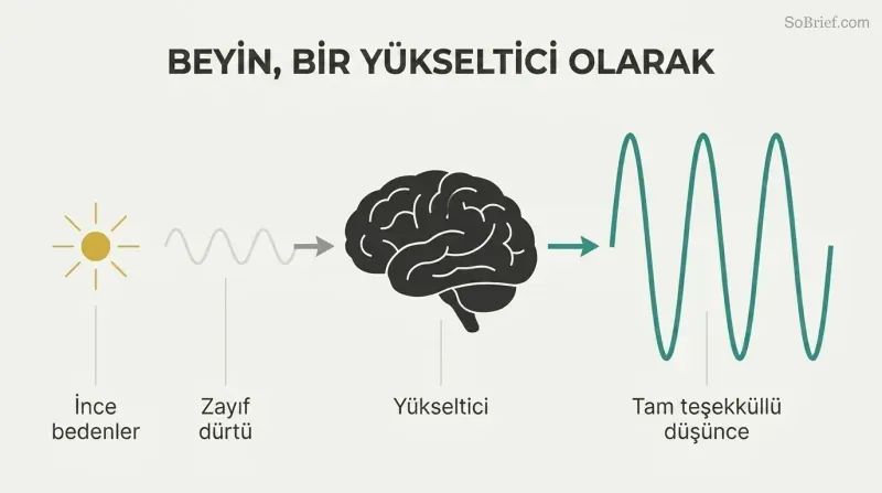 Faint wave enters a brain silhouette and exits dramatically larger, showing the brain as thought amplifier, not creator.
