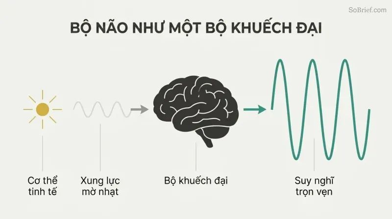 Faint wave enters a brain silhouette and exits dramatically larger, showing the brain as thought amplifier, not creator.